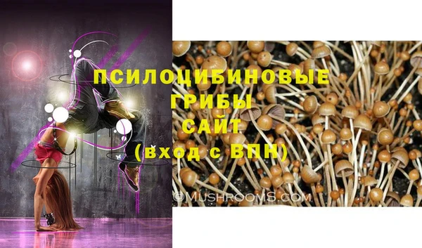 не бодяженный Ельня