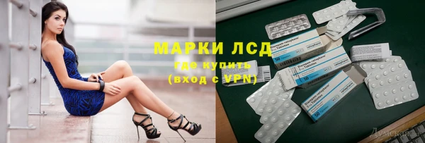 мяу мяу мука Елабуга