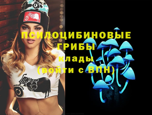 мяу мяу мука Елабуга