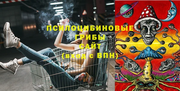 МДМА Елизово