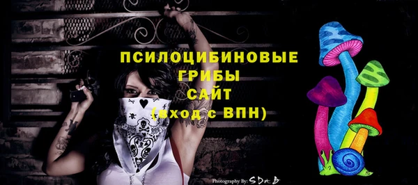 не бодяженный Ельня